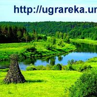 Паршиков Георгий 